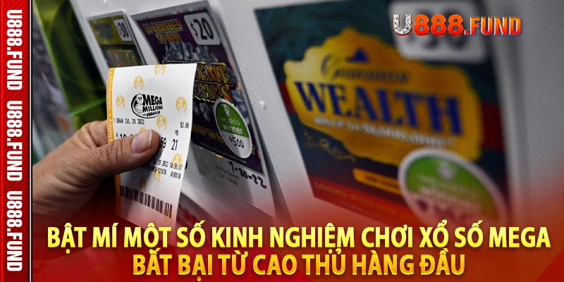 Bật mí một số kinh nghiệm chơi xổ số mega bất bại từ cao thủ hàng đầu