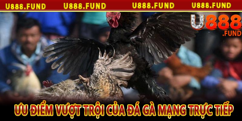 Ưu điểm vượt trội của đá gà mạng trực tiếp